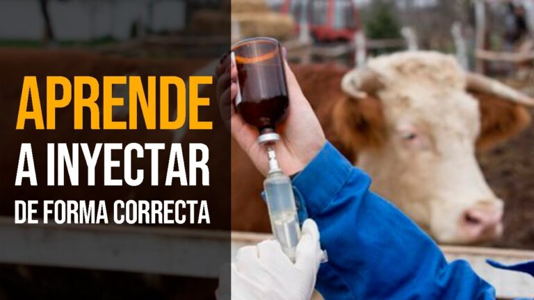 Zonas Perfectas para la Fotografía en Cuéllar