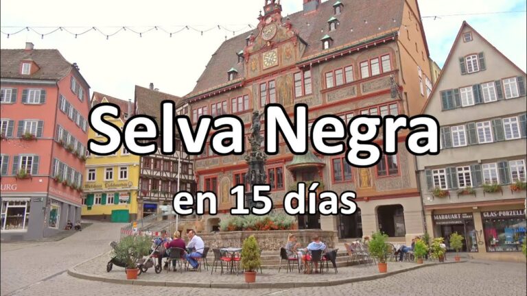 Gu&iacute;a para alquilar furgonetas en Cu&eacute;llar