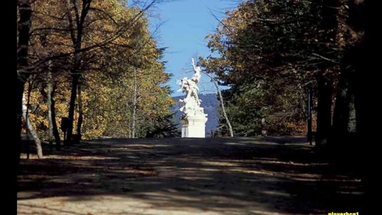 Zonas con Mayor Densidad de &Aacute;rboles en La Granja de San Ildefonso