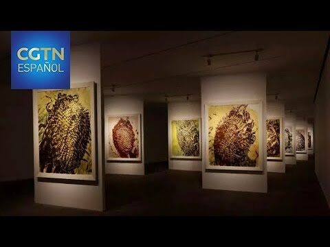 Museos con Entrada Gratuita en Pedraza
