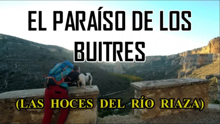 Rutas de Senderismo en Riaza: Descubre los Mejores Caminos