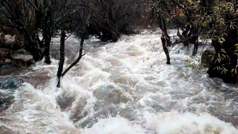Actividades bajo la lluvia en La Granja de San Ildefonso
