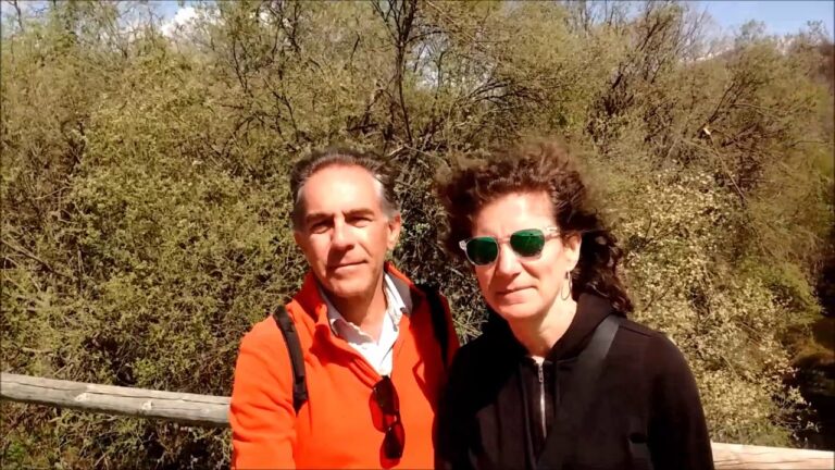 Los Mejores Lugares para Hacer Picnic en La Granja de San Ildefonso